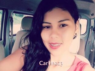 Carlina23