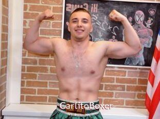 CarlitoBoxer