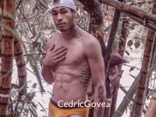 CedricGovea