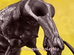 ChangedDisplayNu