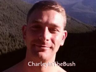 CharleyInTheBush
