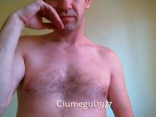 Ciumegul1977