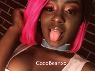 CocoBeanxo