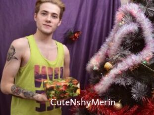CuteNshyMerin