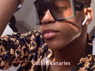 Callmekanaries