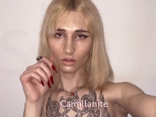 Camillanite