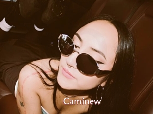 Caminew