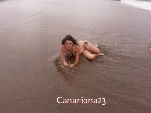 Canariona23