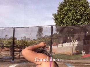 Canelabrun