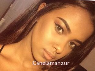 Canelamanzur