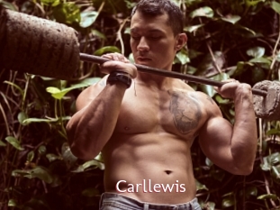 carllewis Sweet links only