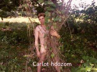 Carlot_hdozom