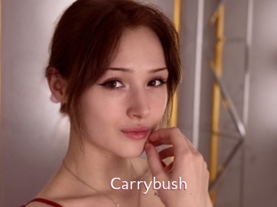 Carrybush