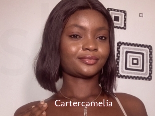 cartercamelia Sweet links only