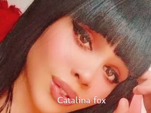 Catalina_fox