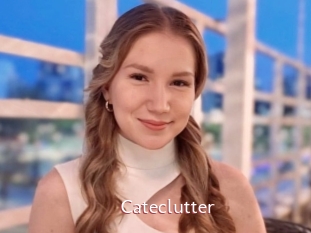 Cateclutter
