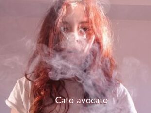 Cato_avocato
