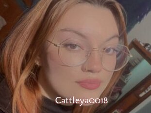 Cattleya0018