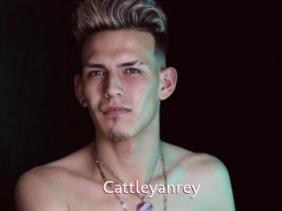 cattleyanrey Sweet links only