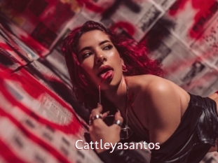 Cattleyasantos