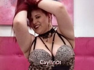 Caylin01