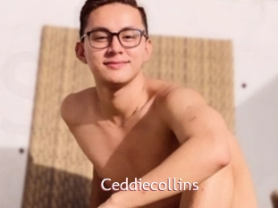 Ceddiecollins