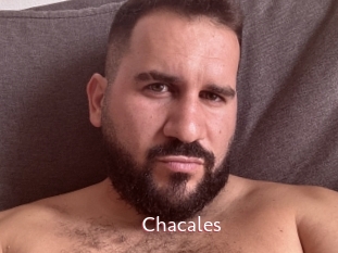 Chacales