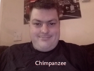 Chimpanzee