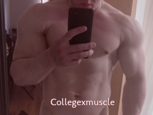 Collegexmuscle
