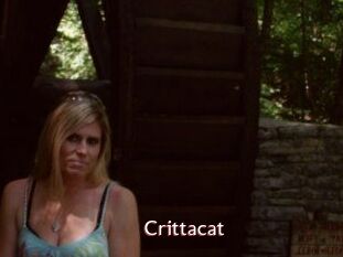 Crittacat