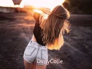 DaisyColle