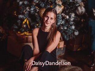 DaisyDandelion