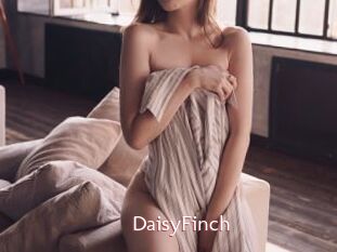 DaisyFinch
