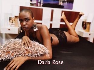 Dalia_Rose