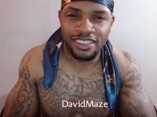 David_Maze