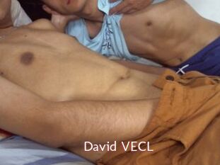 David_VECL