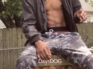 Day1DOG