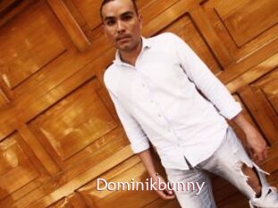 Dominikbunny