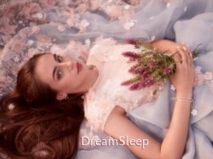 DreamSleep