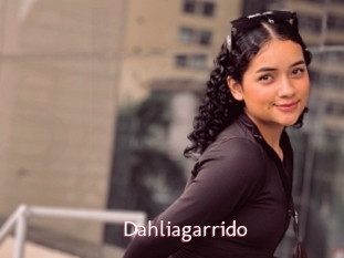 Dahliagarrido