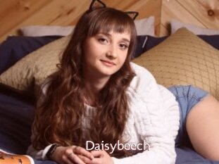 Daisybeech
