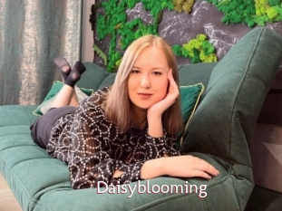 Daisyblooming