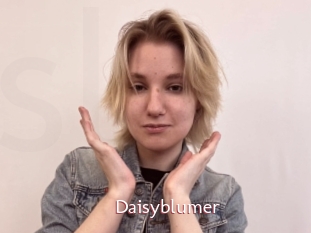 Daisyblumer