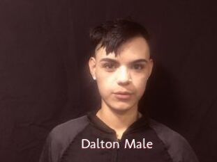 Dalton_Male
