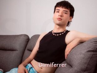 Damiferrer