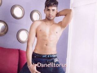 Daneil_torus