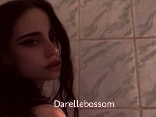 Darellebossom