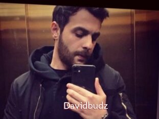 Davidbudz