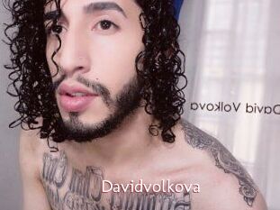 Davidvolkova