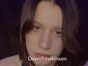 Dawnhawkinson